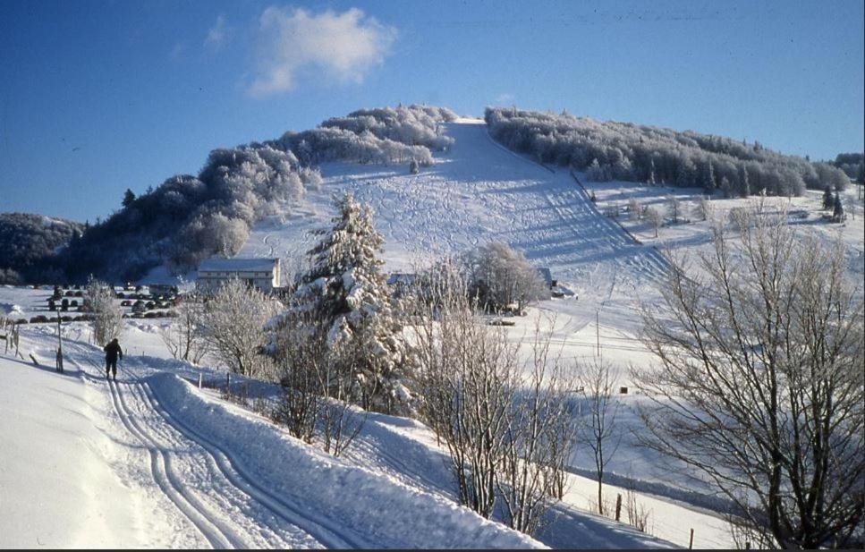 Gite De Famille Dans Les Vosges Сен-Морис-Сюр-Мозель Экстерьер фото